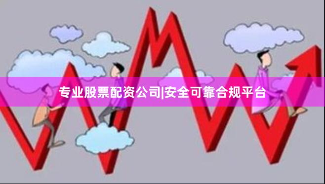 专业股票配资公司|安全可靠合规平台