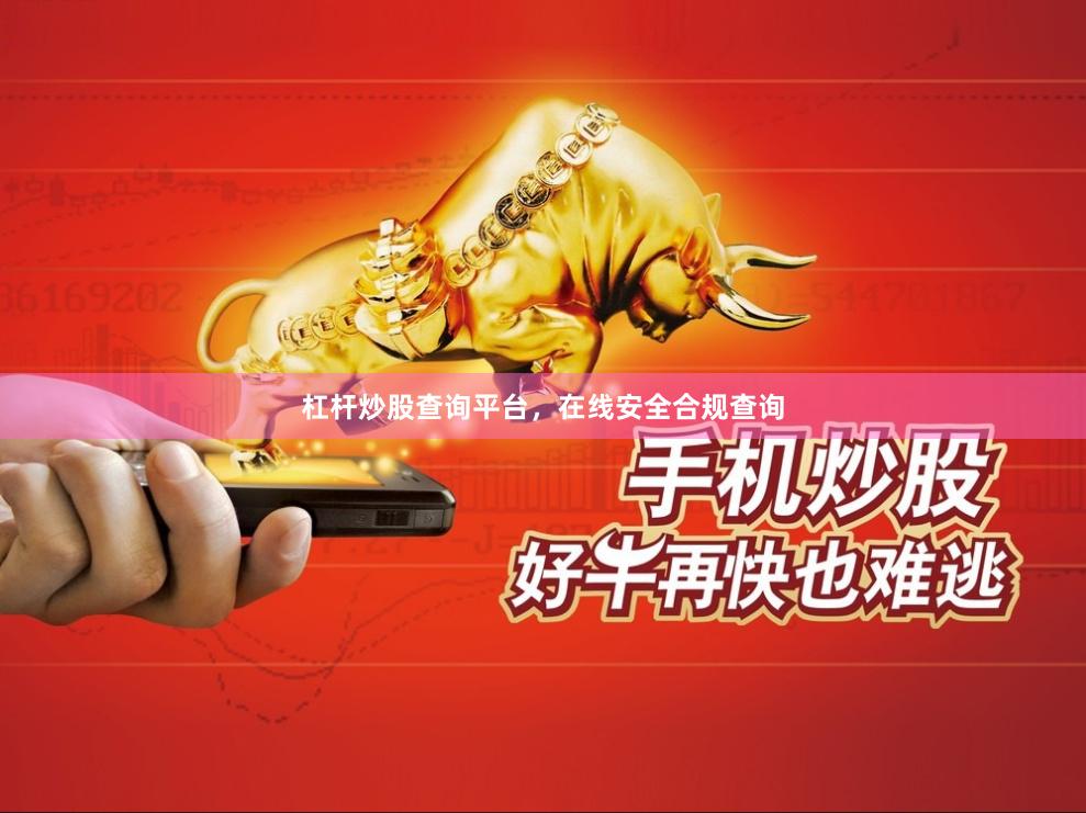 杠杆炒股查询平台，在线安全合规查询